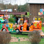 Bild - Kinder fahren in der Eisenbahn