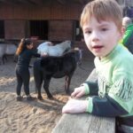 Besuch auf der Weddinger Kinderfarm | © FZM Bild: Junge klettet am Geländer des Pferdestalls