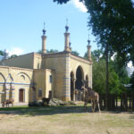 Bild: Blick auf Giraffengehege