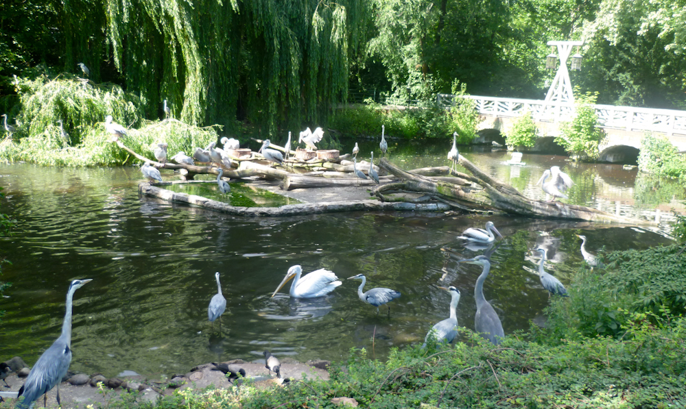 Unser Zoobesuch am Wochenende