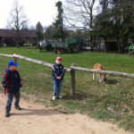 Ausflug zur Domäne Dahlem | © FZM Bild: 2 Jungs stehen bei einem Zaun zur Ziegenwiese, einer schuat in die Kamera