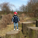 Ausflug zur Domäne Dahlem | © FZM Bild: Junge steht auf einem von vielen großen abgesägten Baumstämmen