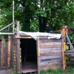 Bild: 2 Jungs stehen auf einer Holzhütte