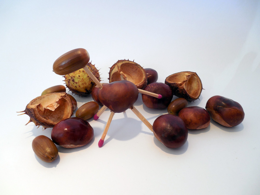 Einladung zum Herbstferienangebot am Montag, 23.10.2017