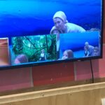 Foto: Mutter mit Kind vo einem Bluescreen