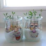 Foto: zwei Marmeladengläser mit Gesichtern beklebt darin wachsen kleine Sprösslinge