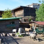 Jugendfarm Moritzhof am Mauerpark - Außenansicht rückseitig, Freigehege Bild: Jugendfarm Moritzhof am Mauerpark - Außenansicht rückseitig, Freigehege